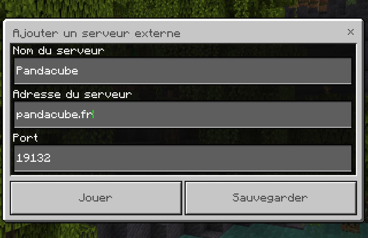 Écran d’ajout d’un nouveau serveur, avec le champ « Adresse du serveur » contenant « pandacube.fr ».