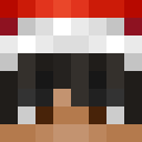 Skin de lGUSSl