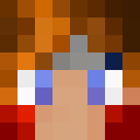 Skin de samicrafteur