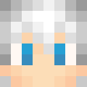 Skin de BriqueAuShey