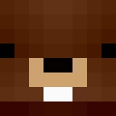 Skin de UnCastorSauvage