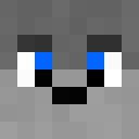 Skin de Wolfsteyn