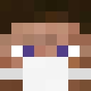 Skin de Sauciflex