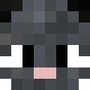 Skin de Dracoon