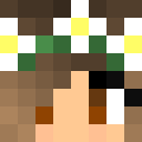 Skin de LOUGAMING17