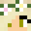 Skin de nonome18